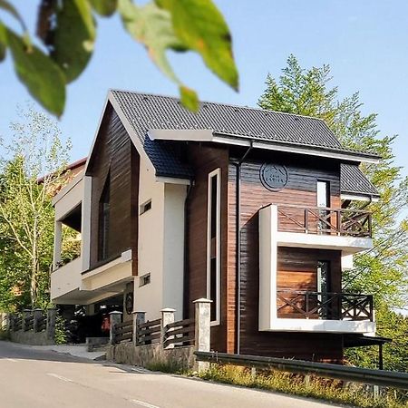 Casa Larisa Antonia Apartments Sinaia Ngoại thất bức ảnh