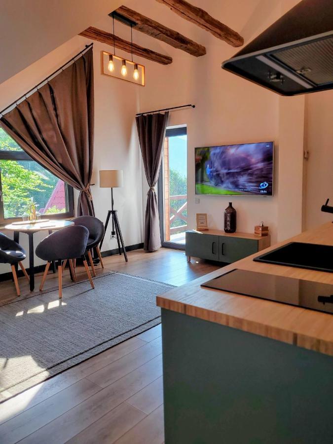 Casa Larisa Antonia Apartments Sinaia Ngoại thất bức ảnh