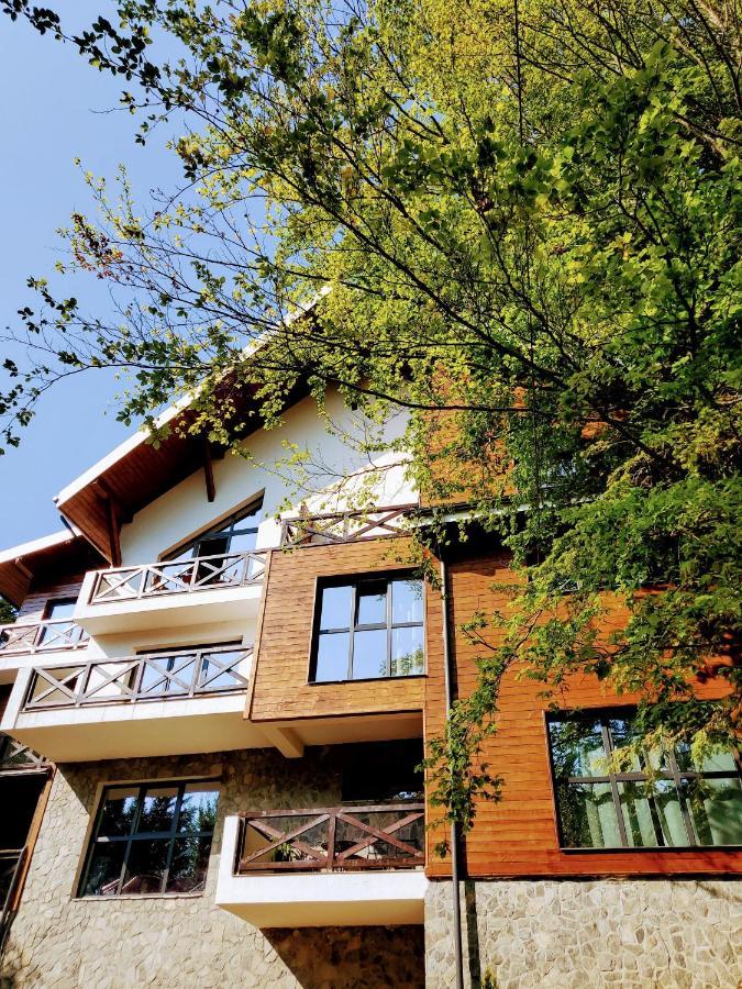 Casa Larisa Antonia Apartments Sinaia Ngoại thất bức ảnh