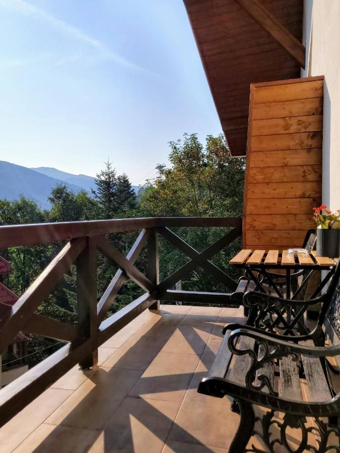 Casa Larisa Antonia Apartments Sinaia Ngoại thất bức ảnh