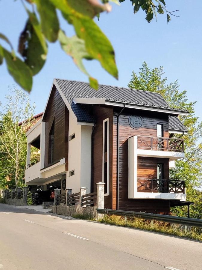 Casa Larisa Antonia Apartments Sinaia Ngoại thất bức ảnh