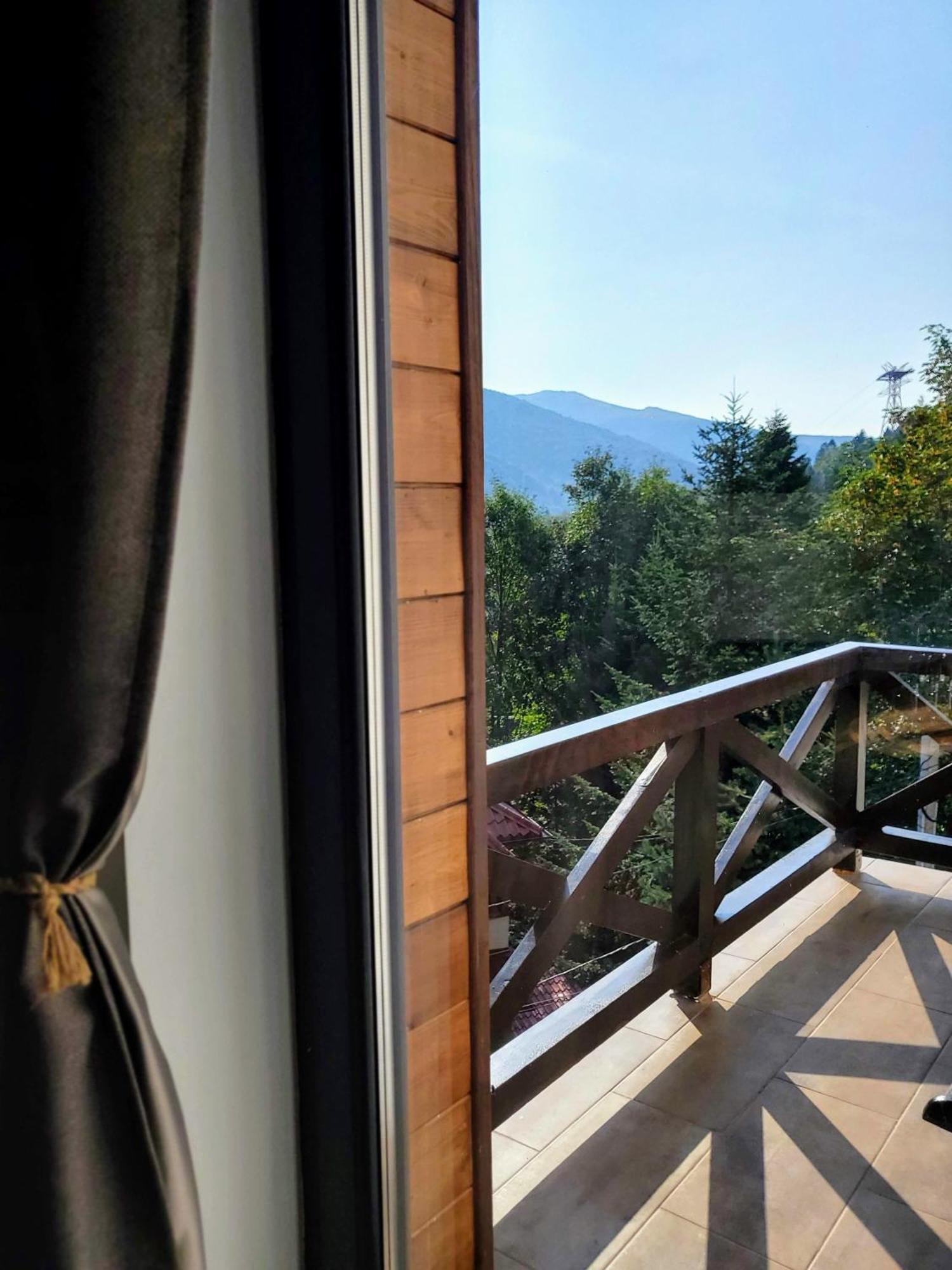 Casa Larisa Antonia Apartments Sinaia Ngoại thất bức ảnh